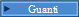 Guanti